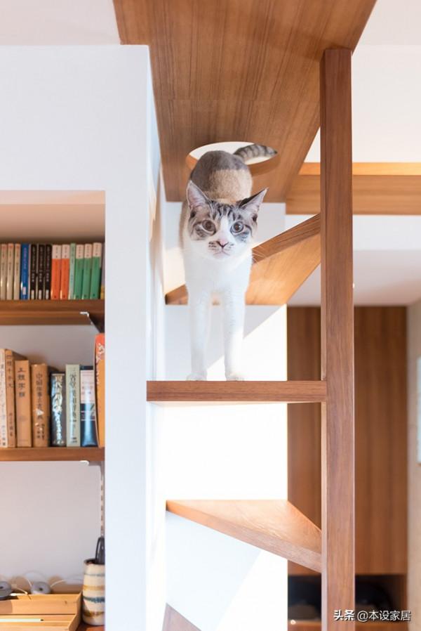 看了這套84㎡“教科書式”小宅，我發現無數中國人正在過度裝修