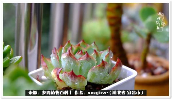 時光匆匆，一閃而逝，這世間萬物的美，都值得被記錄