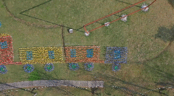 @所有人，夢幻風車節來了！速來打卡