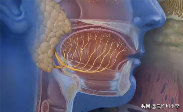 腦梗來臨，睡覺先知？提醒：睡覺出現3個異常，或是腦梗“預警”