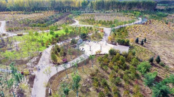 延慶再添“城市綠肺”~康西森林溼地公園“上線”