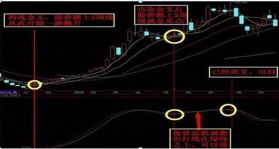 抓一個優秀的證券交易高手主升浪 抓一個優秀的證券交易高手主升浪