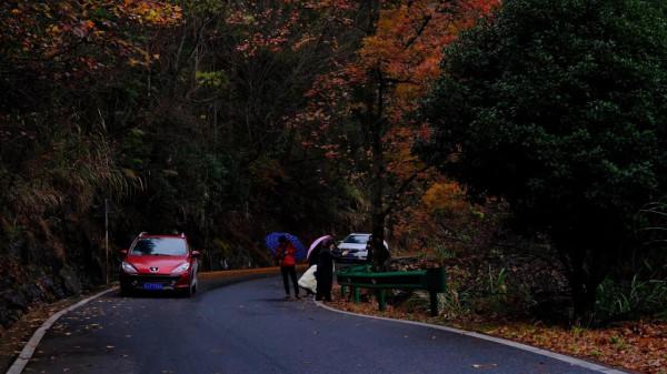 紅旗嶺上秋正濃 紅旗嶺上秋正濃