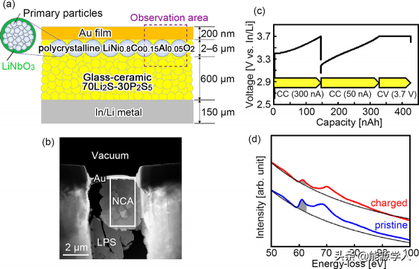鋰離子在富Ni正極中的傳輸