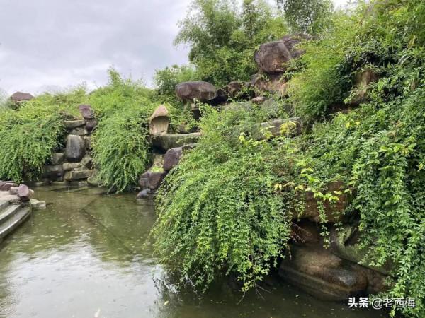 寶寶去幼兒園總生病怎麼辦？