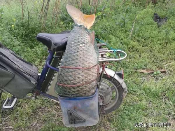 同樣用玉米釣魚，鄧剛打頻率就把老闆盤了，為啥我們卻越打越沒口