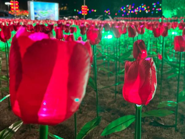 沒有煙花爆竹的大年有驚喜