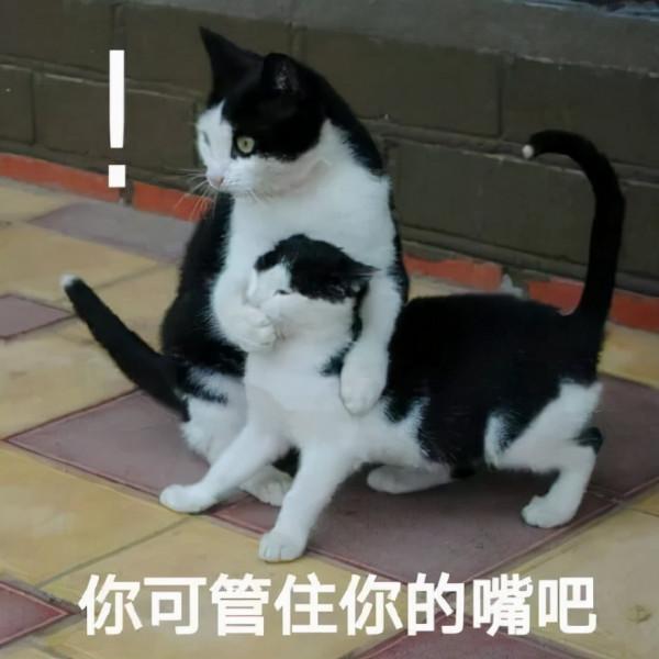 黑命貴大戰藍命貴 黑命貴大戰藍命貴