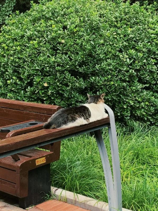 北京6家小眾公園&amp;周邊吃喝不完全指南，重拾兒時的美好與神仙級美味