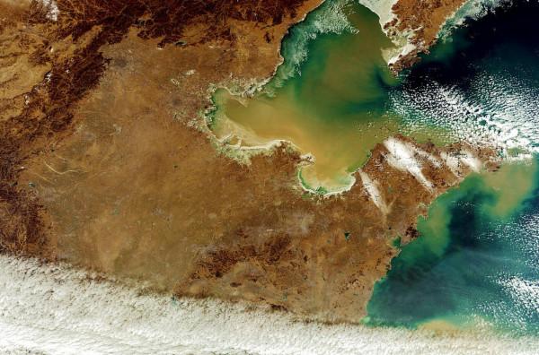 小浪底水庫蓄水23年，裡面最大的魚有多大？調水調沙是好還是壞？