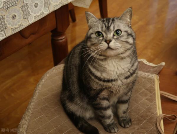 付一大筆錢,徹夜觀賞女孩裸體,老人以典雅方式享受最後的愛 付一大筆錢,徹夜觀賞女孩裸體,老人以典雅方式享受最後的愛