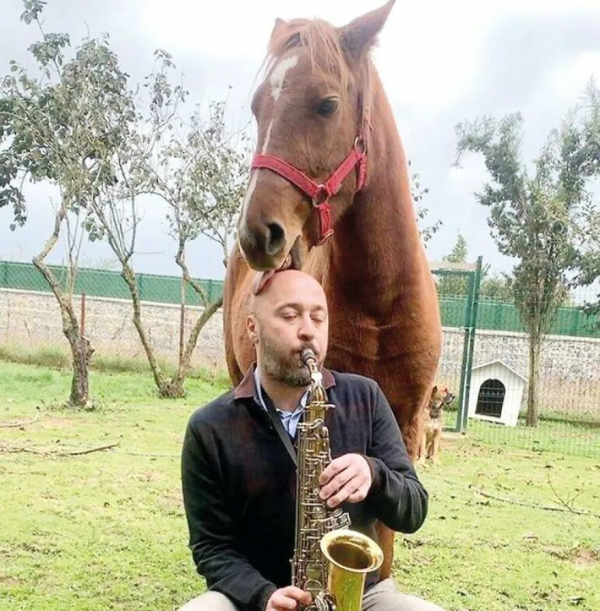 因為愛，他把農場變成了動物樂園，不僅有貓有狗，還有馬和海鷗