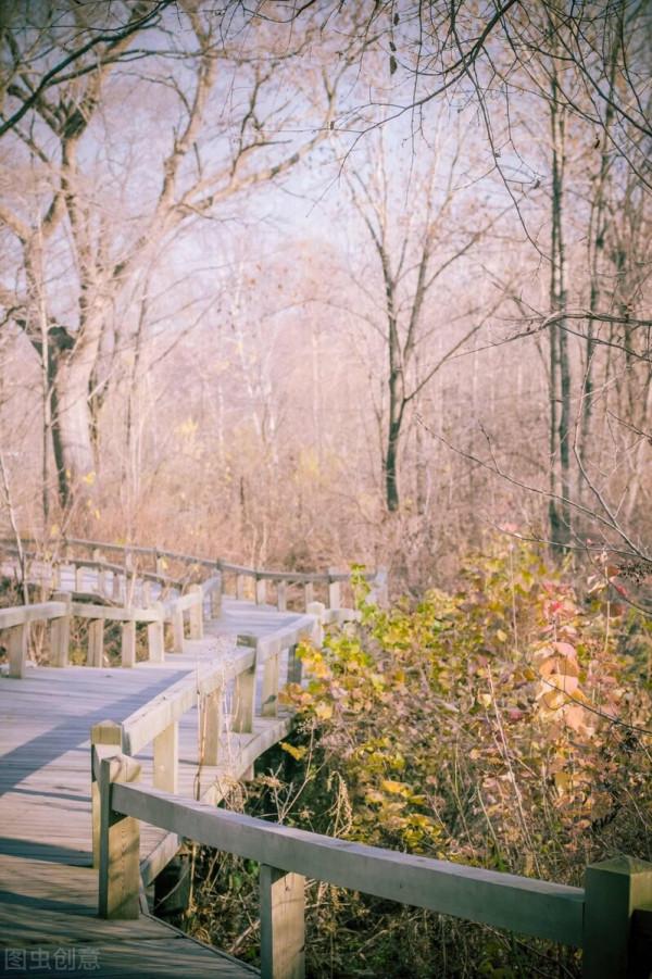 美景的初戀 美景的初戀