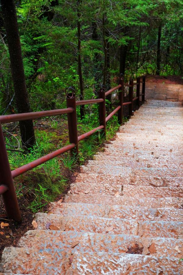 麗江的夏天有什麼? 麗江的夏天有什麼?