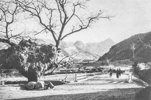 說隴史丨1956年,麥積山石窟的最原始風貌 說隴史丨1956年,麥積山石窟的最原始風貌