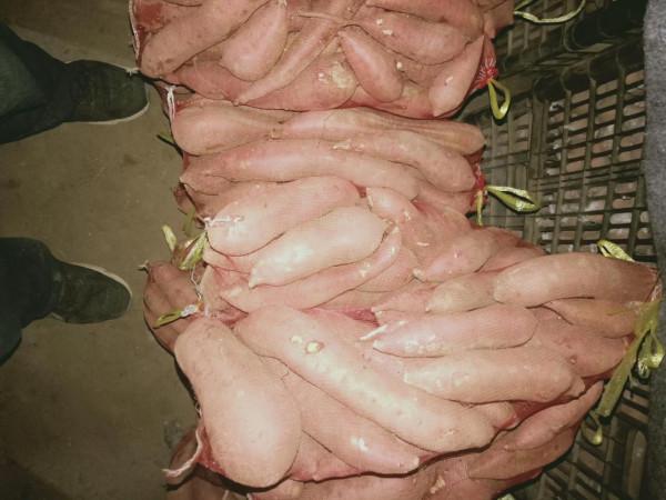 為什麼紅薯價格差距幾倍？