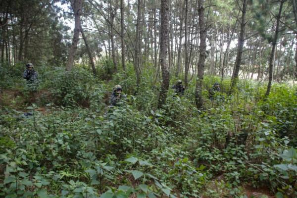 滿屏火力!滇西鐵騎威震沙場 滿屏火力!滇西鐵騎威震沙場