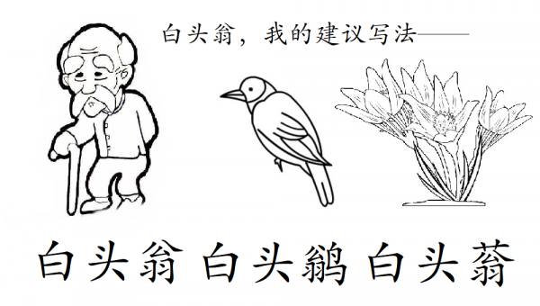 白頭鵯:我本小頑童,非是白頭翁 白頭鵯:我本小頑童,非是白頭翁