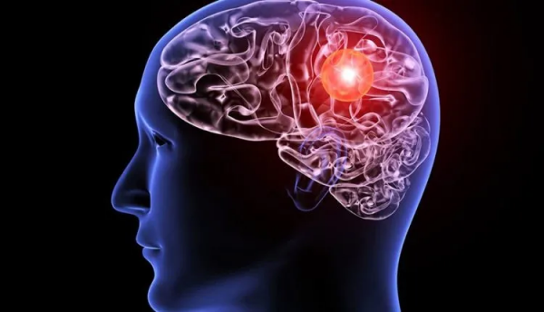 汽車不出事的關鍵：用大腦指揮