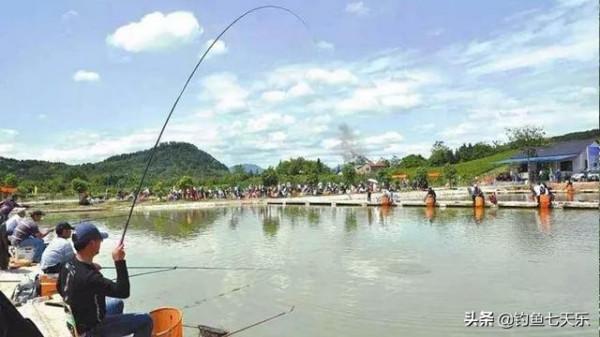 黑坑如何搶魚?運用好“三字”攻略法,提升“盤”到老闆的機率 黑坑如何搶魚?運用好“三字”攻略法,提升“盤”到老闆的機率