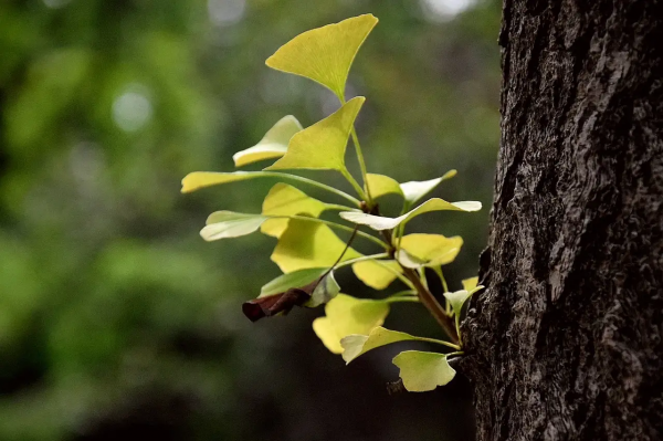 58歲阿姨傾訴：找有6000退休金的老頭搭夥，一年不僅搭錢還出了力