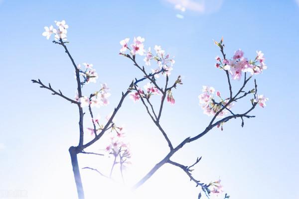 雅稱、代稱、它稱、別稱彙總(二) 雅稱、代稱、它稱、別稱彙總(二)