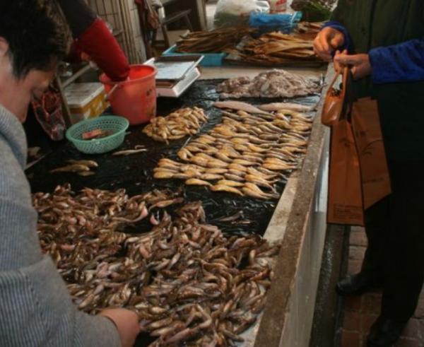 東莞首富王金城:初中輟學賣菜起家,身家300億,50歲卻患癌早逝 東莞首富王金城:初中輟學賣菜起家,身家300億,50歲卻患癌早逝