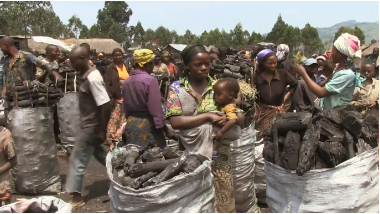 非洲人為了賺錢有多拼？腳踏車載800斤木炭，看著都害怕
