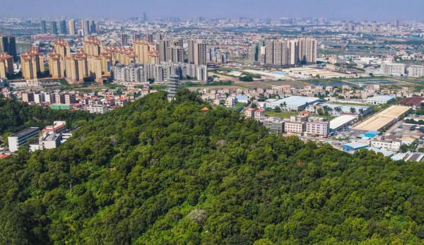 廣東3個由縣升格的地級市，40年後命運各不同，1市已成為全國強市