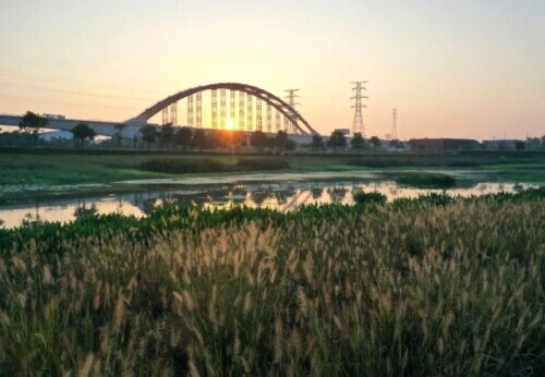 看!草木猴鷸鵝熊熊貓鴨…… 看!草木猴鷸鵝熊熊貓鴨……