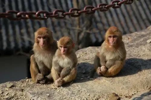 找尋二十萬前的好友,發現請留言 找尋二十萬前的好友,發現請留言