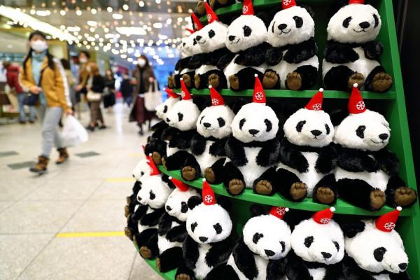 受疫情影響 旅日大熊貓“香香”歸還中國時間再被推遲