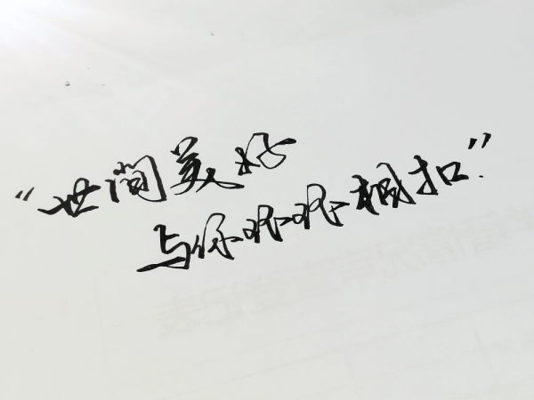 折梅伴素琴，輕收一窗月，長夜好讀書，煮茶待飛雪