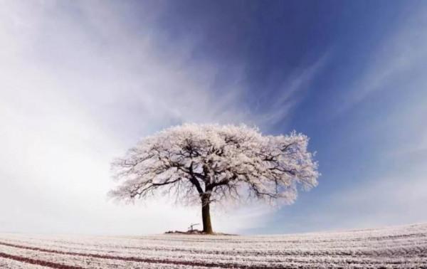 有什麼樣的思想，就會成為什麼樣的人