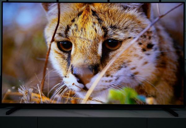 最適合有娃和影視一族的OLED電視Sony65A80J 最適合有娃和影視一族的OLED電視Sony65A80J