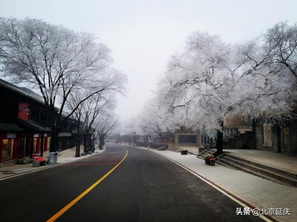 美若仙境！延慶八達嶺景區現絕美霧凇