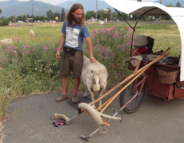 他住在2㎡破舊三輪車中，養4只羊為伴，邊牧羊邊流浪轉眼已過12年
