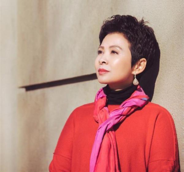 22歲嫁初戀，23歲爆火，38歲跌落神壇，董文華如今怎樣了？