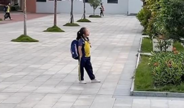 “逼瘋”父親漲粉百萬，央視點名表揚的三石父女，究竟有何魔力？