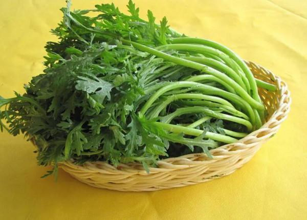 明日冬至,別忘記“吃2肉、食3菜、忌3樣”,家人幸福安康少生病 明日冬至,別忘記“吃2肉、食3菜、忌3樣”,家人幸福安康少生病