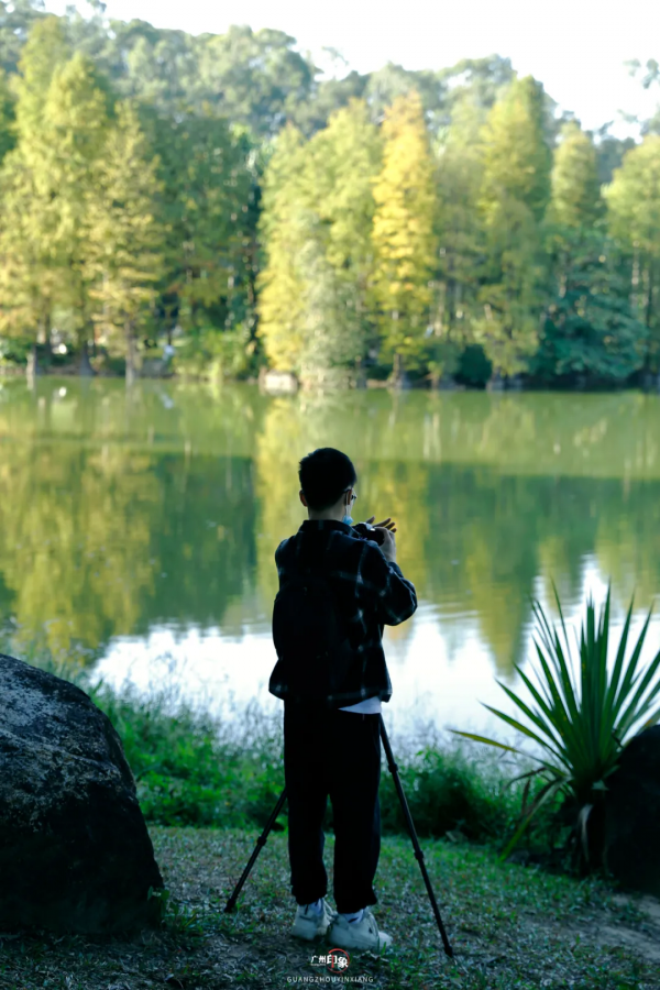 抓住秋天的影子，至少要去一次「華南植物園」