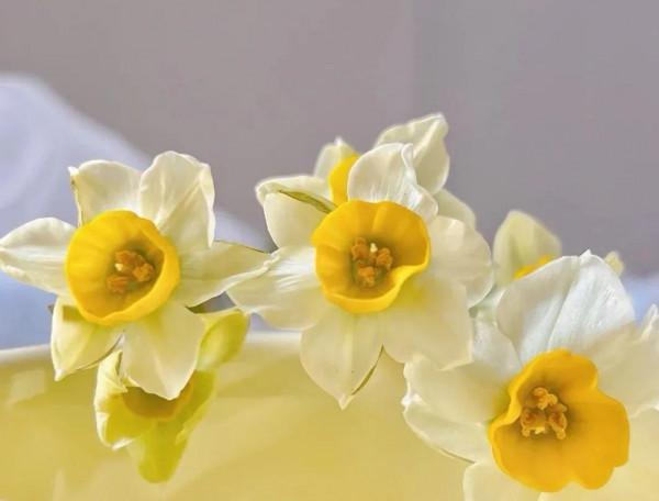 《道德經》層次越高的人，越敬畏因果，敬畏自然，也越遵道而行