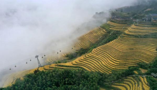 廣西龍脊梯田:雨後雲霧如畫 廣西龍脊梯田:雨後雲霧如畫