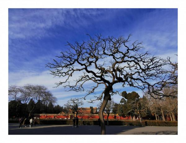 塵封記憶 筒子河 我第一次滑冰的地方