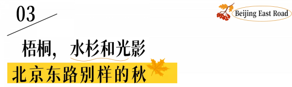 北京東路，喜提秋天