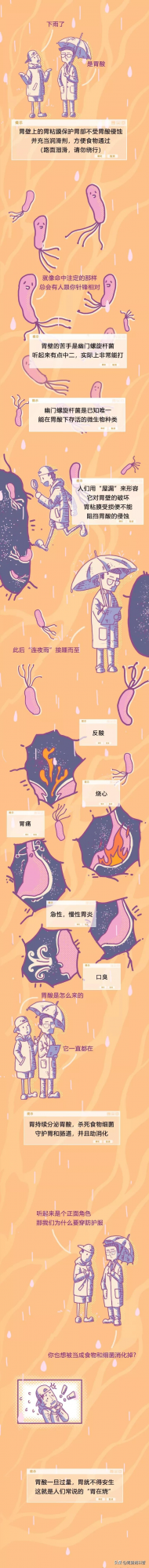 極簡漫畫——你的胃就是這麼折騰壞的