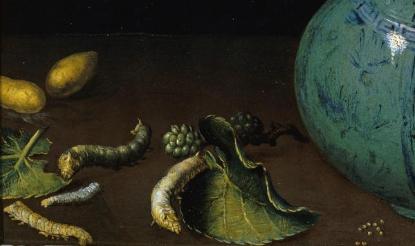 卡拉拉學院藏品展：一些細節，與花的記憶