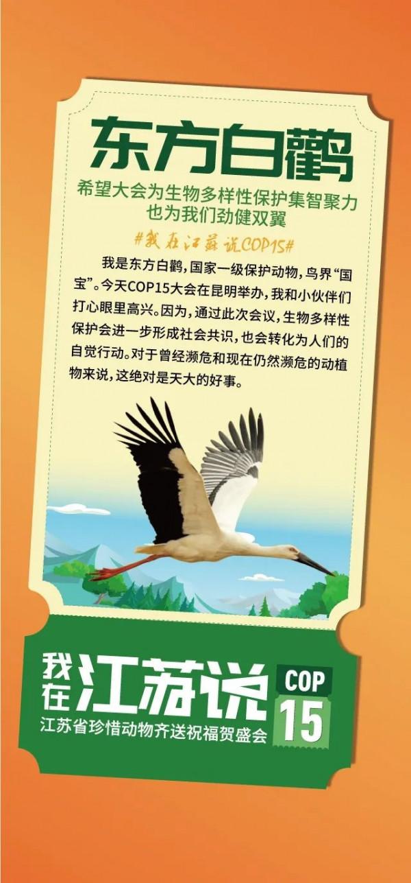 我在江蘇說COP15 | 江蘇省珍惜動物齊送祝福賀盛會