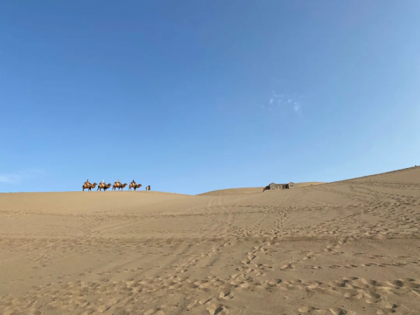 敦煌之行:我將心中部分潮溼陰冷換成了大漠黃沙 敦煌之行:我將心中部分潮溼陰冷換成了大漠黃沙