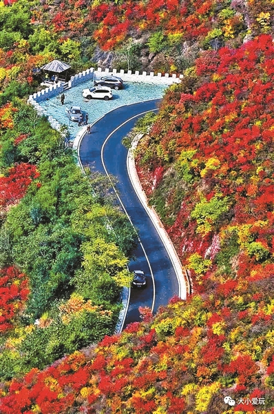 帶娃自駕京城神仙級秋色山林公路 帶娃自駕京城神仙級秋色山林公路